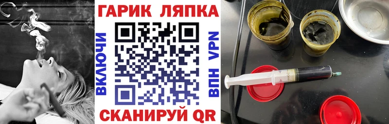 Купить закладки  Гусь-Хрустальный  ГАШ гарик 