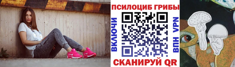 Купить закладки  Гусь-Хрустальный  Псилоцибиновые грибы Psilocybe 